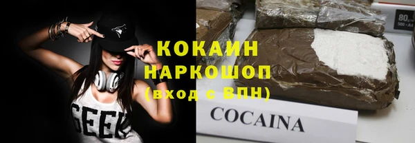 хмурый Алексин