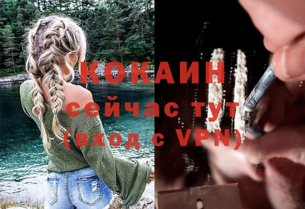 стафф Алзамай