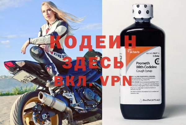 хмурый Алексин