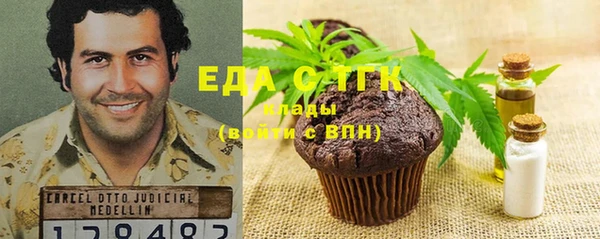 хмурый Алексин