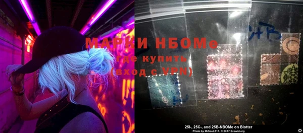 хмурый Алексин