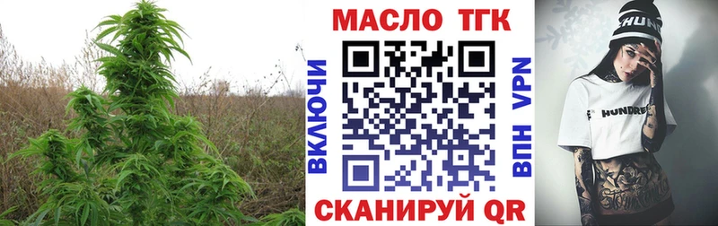 что такое наркотик  Черкесск  ТГК гашишное масло 